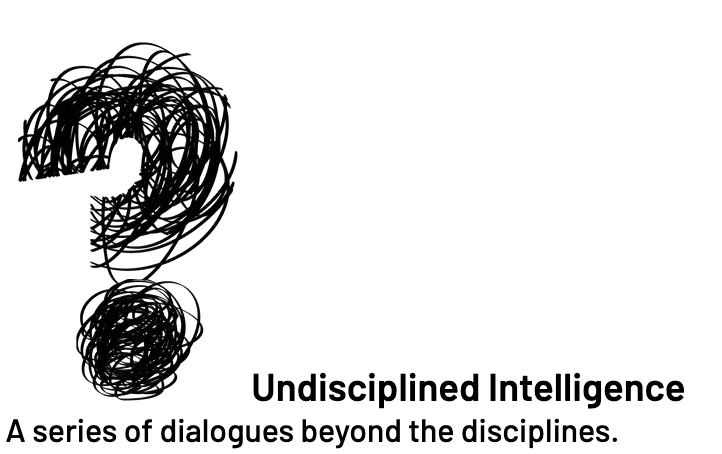 Anna Echterhölter: TOO BLIND TO SEE – Über Datenkolonialismus, AI und (anti-)imperiale Intelligenzen